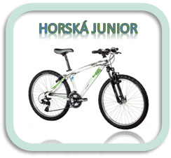 Kategorie juniorská horská kolo 4Ever