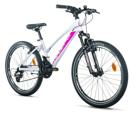 Leader Fox Spider 24" dívčí 2026